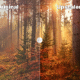 Screenshot_1